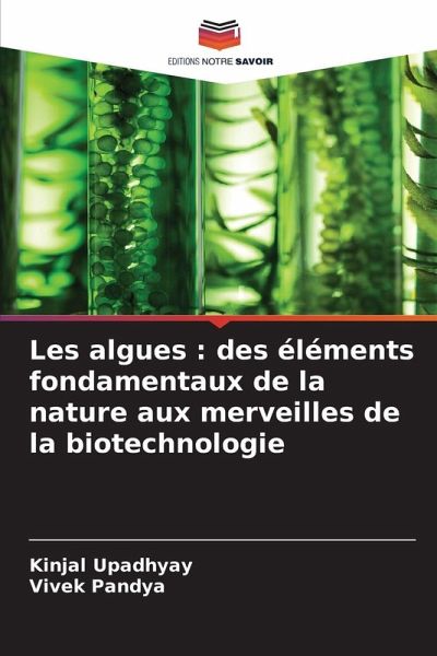 Les algues : des éléments fondamentaux de la nature aux merveilles de la biotechnologie Les algues : des éléments fondamentaux de la nature aux merveilles de la biotechnologie