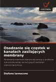 Osadzanie si¿ cz¿stek w kana¿ach zasilaj¿cych membrany Osadzanie si¿ cz¿stek w kana¿ach zasilaj¿cych membrany