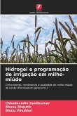 Hidrogel e programação de irrigação em milho-miúdo