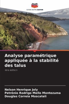 Cover Analyse paramétrique appliquée à la stabilité des talus