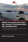 Dépôt de particules dans les canaux d'alimentation des membranes