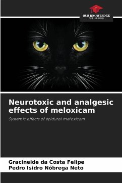 Neurotoxic and analgesic effects of meloxicam - da Costa Felipe, Gracineide;Nóbrega Neto, Pedro Isidro