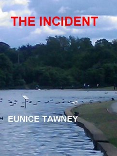 Cover The Incident (eBook, ePUB)