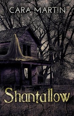 Shantallow (eBook, ePUB) Cover Shantallow (eBook, ePUB)