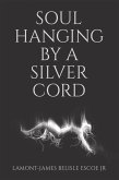 SOUL HANGING BY A SILVER CORD (eBook, ePUB)