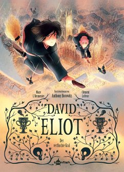 Cover David Eliot (eBook, PDF)
