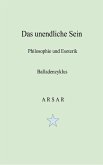 Das unendliche Sein (eBook, ePUB)
