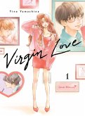 Virgin Love 1 (eBook, ePUB)