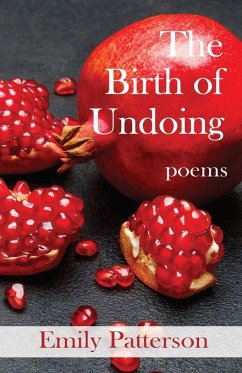 Cover The Birth of Undoing