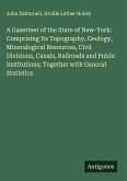 A Gazetteer of the State of New-York: Comprising Its Topography, Geology, Mineralogical Resources, Civil Divisions, Canals, Railroads and Public Institutions; Together with General Statistics