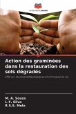 Action des graminées dans la restauration des sols dégradés
