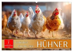 Hühner - gefiedert durchs Jahr (Wandkalender 2026 DIN A2 quer), CALVENDO Monatskalender