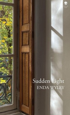 Cover Sudden Light