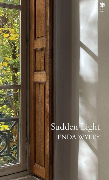 Sudden Light
