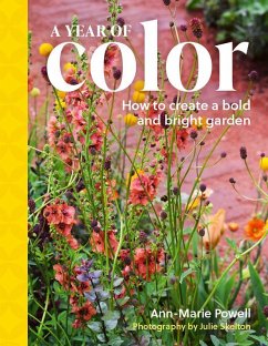 Cover A Year of Color