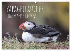 Papageitaucher - charmante Clowns (Wandkalender 2026 DIN A2 quer), CALVENDO Monatskalender Papageitaucher - charmante Clowns (Wandkalender 2026 DIN A2 quer), CALVENDO Monatskalender