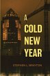 A Cold New Year - Bild 1