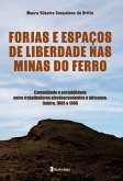 FORJAS E ESPAÇOS DE LIBERDADE NAS MINAS DO FERRO COMUNIDADE E SOCIABILIDADE ENTRE TRABALHADORES AFRODESCENDENTES E AFRICANOS, ITABIRA, 1808 A 1888 FORJAS E ESPAÇOS DE LIBERDADE NAS MINAS DO FERRO COMUNIDADE E SOCIABILIDADE ENTRE TRABALHADORES AFRODESCENDENTES E AFRICANOS, ITABIRA, 1808 A 1888