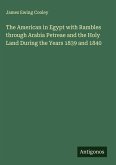 The American in Egypt with Rambles through Arabia Petreae and the Holy Land During the Years 1839 and 1840