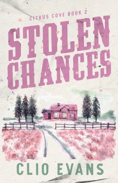 Cover Stolen Chances
