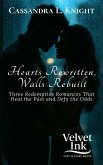Hearts Rewritten, Walls Rebuilt (eBook, ePUB) Hearts Rewritten, Walls Rebuilt (eBook, ePUB)