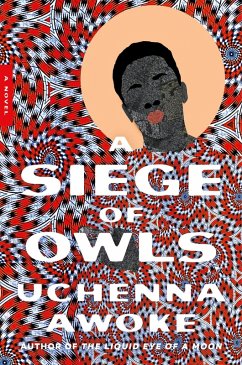 A Siege of Owls (eBook, ePUB) - Awoke, Uchenna