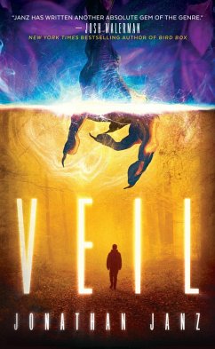 Cover Veil (eBook, ePUB)