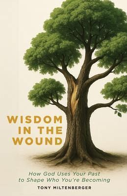 Wisdom in the Wound (eBook, ePUB) Wisdom in the Wound (eBook, ePUB)