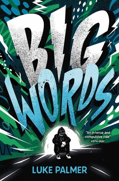 Big Words (eBook, ePUB) - Palmer, Luke