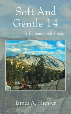 Cover Soft And Gentle 14 (eBook, ePUB)