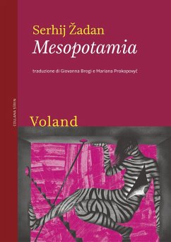 Cover Mesopotamia (eBook, ePUB)