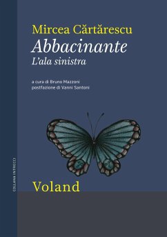 Cover Abbacinante. L'ala sinistra (eBook, ePUB)