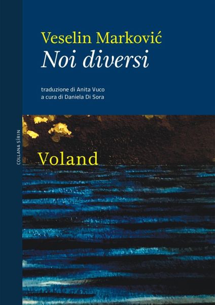 Noi diversi (eBook, ePUB)