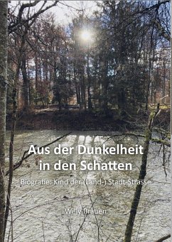 Cover Aus der Dunkelheit in den Schatten (eBook, ePUB)