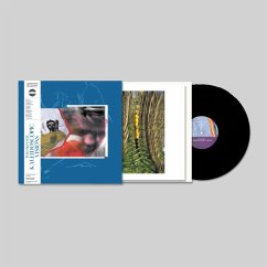 Kaleidoscopic Visions - Tom Skinner Kaleidoscopic Visions - Tom Skinner