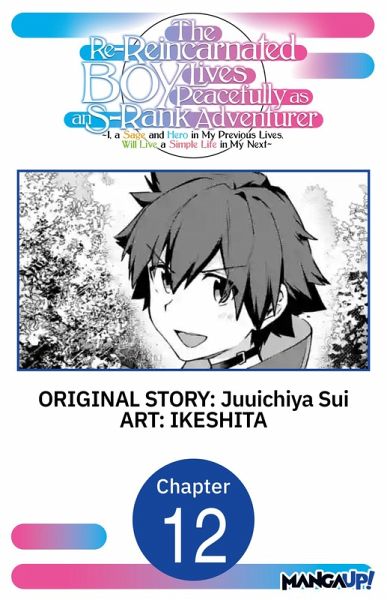 The Re-Reincarnated Boy Lives Peacefully as an S-Rank Adventurer ~ I, a Sage and Hero in My Previous Lives, Will Live a Simple Life in My Next ~ #012 (eBook, ePUB)