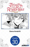 Trinity of the Royal Palace #030 (eBook, ePUB)