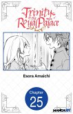 Trinity of the Royal Palace #025 (eBook, ePUB)