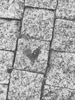 Buh ví sám (eBook, ePUB) - Worbys, Nikola