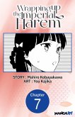 Wrapping up the Imperial Harem #007 (eBook, ePUB)