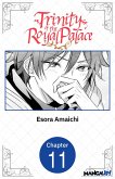 Trinity of the Royal Palace #011 (eBook, ePUB)