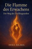 Die Flamme des Erwachens. Der Weg der Zwillingsseelen (eBook, ePUB)
