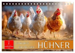 Hühner - gefiedert durchs Jahr (Tischkalender 2026 DIN A5 quer), CALVENDO Monatskalender Hühner - gefiedert durchs Jahr (Tischkalender 2026 DIN A5 quer), CALVENDO Monatskalender