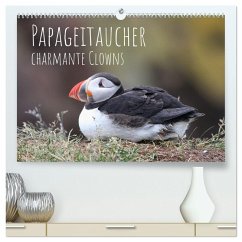 Papageitaucher - charmante Clowns (hochwertiger Premium Wandkalender 2026 DIN A2 quer), Kunstdruck in Hochglanz Papageitaucher - charmante Clowns (hochwertiger Premium Wandkalender 2026 DIN A2 quer), Kunstdruck in Hochglanz