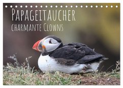 Papageitaucher - charmante Clowns (Tischkalender 2026 DIN A5 quer), CALVENDO Monatskalender Papageitaucher - charmante Clowns (Tischkalender 2026 DIN A5 quer), CALVENDO Monatskalender