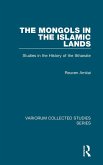 The Mongols in the Islamic Lands