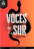 Voces del Sur (eBook, ePUB)