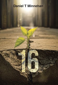 Cover 16 (eBook, ePUB)