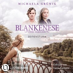 Cover Zeitensturm (MP3-Download)