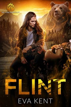 Cover Flint (eBook, ePUB)